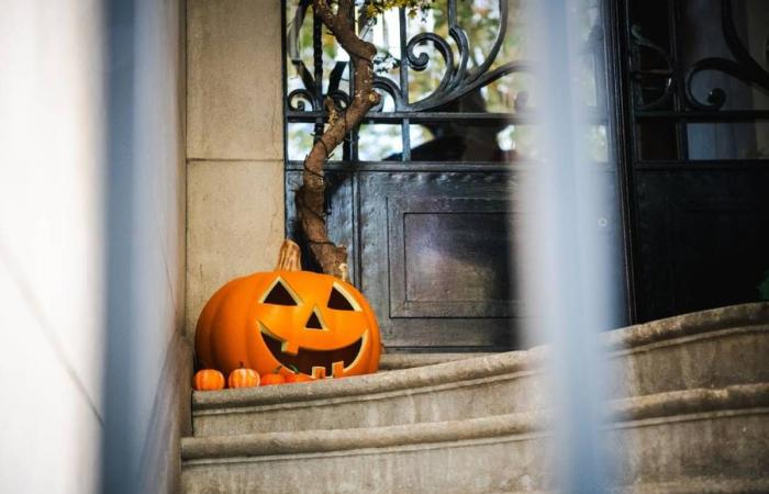 Halloween is approaching… activities to scare each other in Corrèze