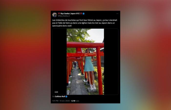 a Chilean tourist created controversy after doing pull-ups on a traditional gate