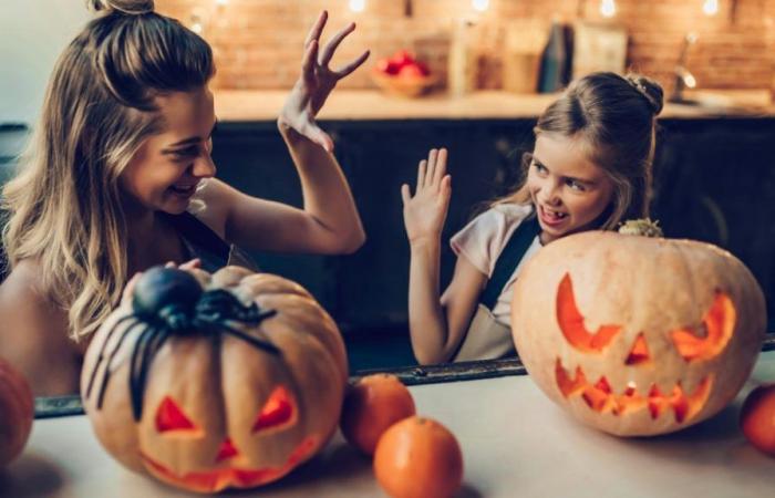 Nord-Pas-de-Calais: what to do with our children during the autumn holidays? We list a range of activities for you