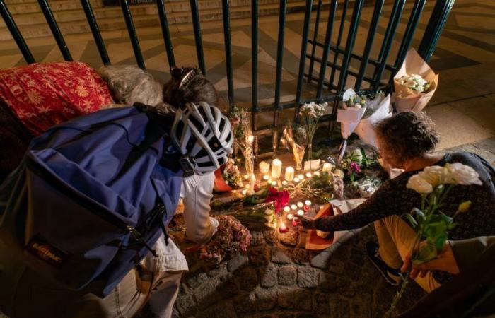 the family of the cyclist killed in Paris on Tuesday by a motorist testifies – Libération