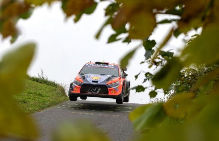 Central Europe, SS8: Neuville widens the gap!