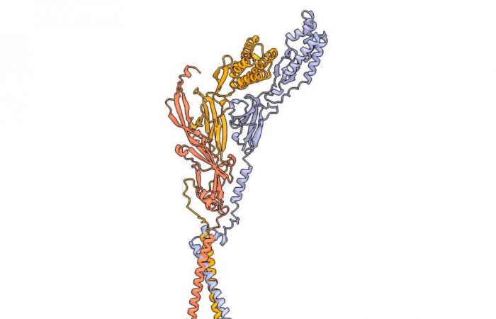 Molecular details of the egg-sperm connection revealed thanks to AI