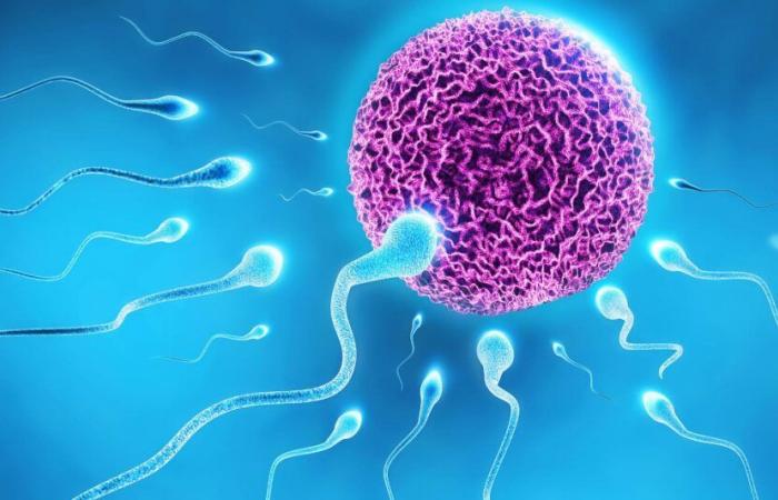 Molecular details of the egg-sperm connection revealed thanks to AI