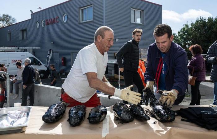 in La Rochelle, they cook their legs in bitumen