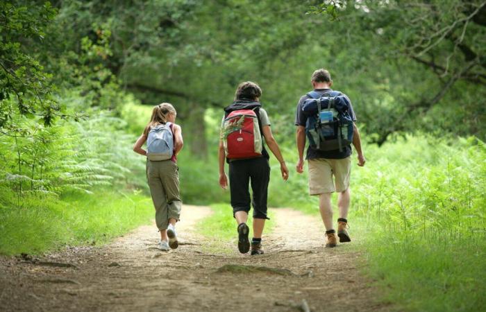 In Seine-et-Marne, the Nature et Citadine hike will introduce you to parks and castles