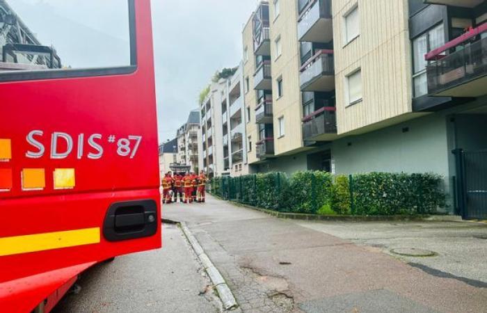 Around twenty people evacuated after “strong smells” of gas in Limoges