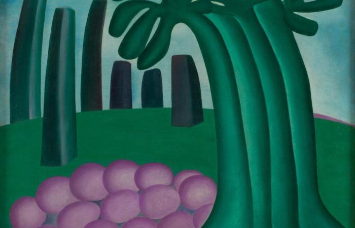 The painter Tarsila do Amaral or the ambiguities of modernism, at the Luxembourg Museum