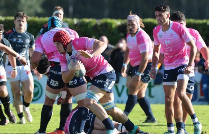 Amateur rugby – National 2: the Fleurance – Valence-d’Agen poster canceled due to bad weather