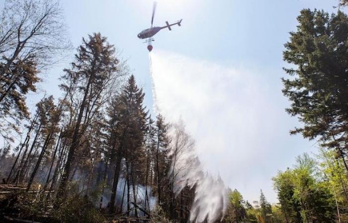 Nova Scotia’s wildfire season was the least active on record