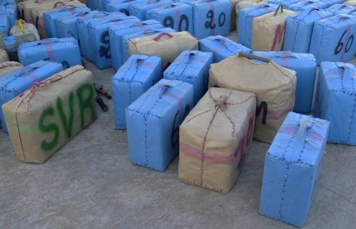 Foil an attempt to smuggle 250 kilos of hashish into Nador