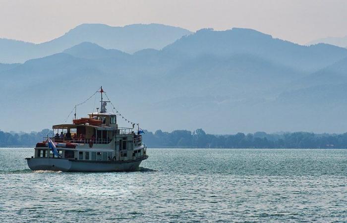 During a festive gathering, a boarding bridge collapses and causes the death of 7 people