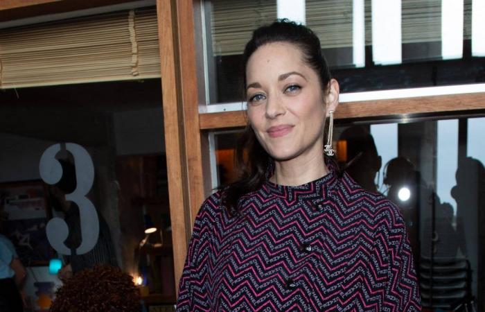 Marion Cotillard ready to launch into song? Maxim Nucci’s revelations about the preparation of his first album