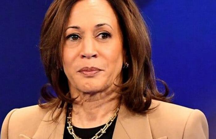 Kamala Harris: Douglas, her unfaithful husband, fathered a child with his daughter’s nanny!