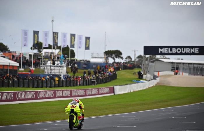 MotoGP Australia J3, Fabio Di Giannantonio (Ducati/4): “I could have fought with Pecco Bagnaia”