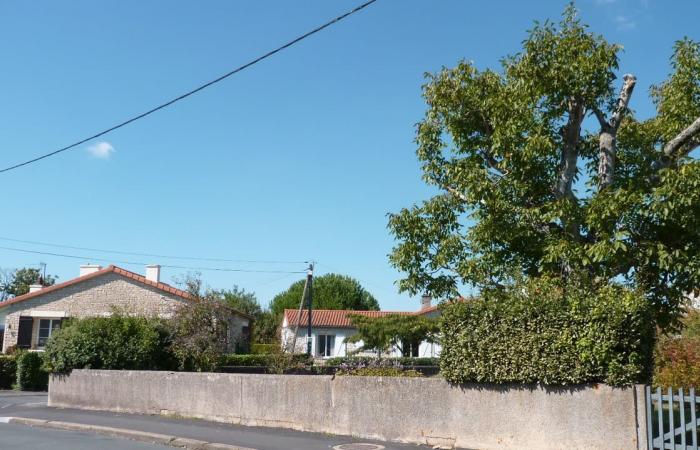 Real estate in the outskirts of Poitiers is attractive, with prices falling