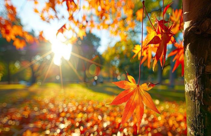 What are the latest weather trends for All Saints’ Day in France?