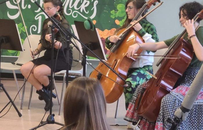 An instrumentarium is being developed at the Haute Ariège music school