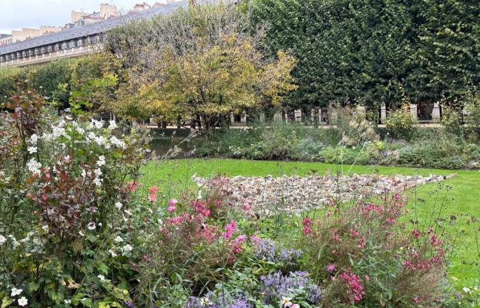 Walk in the garden of the Palais Royal (Paris 1st) still full of flowers in autumn