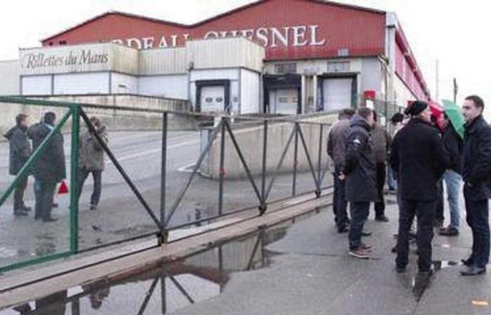 What project to replace the old Bordeau Chesnel rillettes factory in Sarthe?