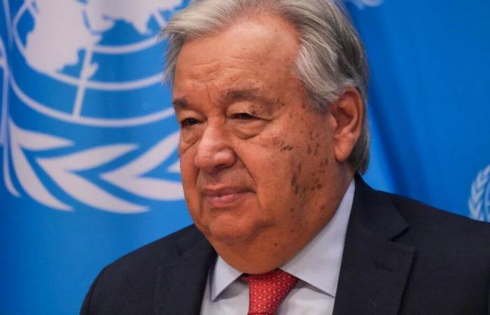 UN chief calls for investment to save nature