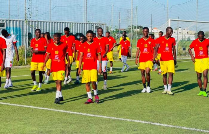 Guinea (again) disqualified for age fraud – Guineefoot