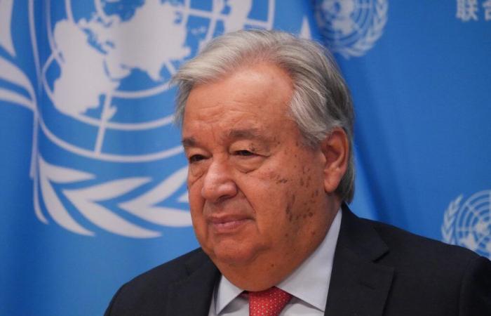 COP16: UN chief calls for investment to save nature