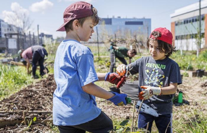 Money and happiness | 10 things that work in Quebec