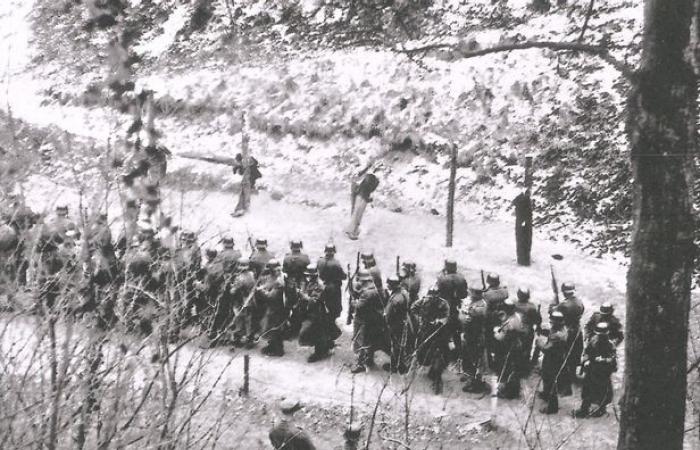 Historian Fabrice Grenard publishes a new book on the French Resistance