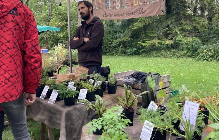 the Plant and Garden Festival in Péré, an opportunity to make discoveries