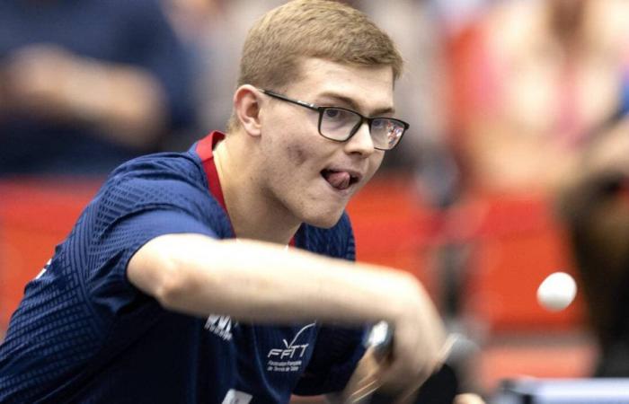 Table tennis. Alexis Lebrun crushes the Olympic vice-champion and advances to the European final