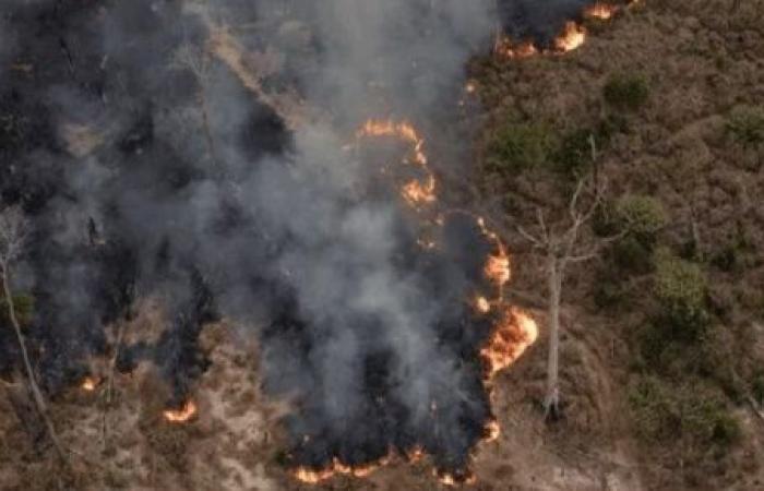 Preventing forest fires in Peru is our priority