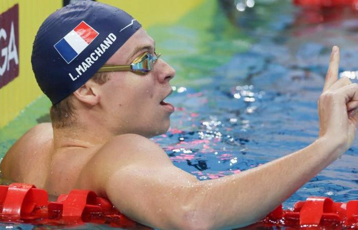 Swimming: easy victory over 400m medley and new French record for Léon Marchand in Shanghai