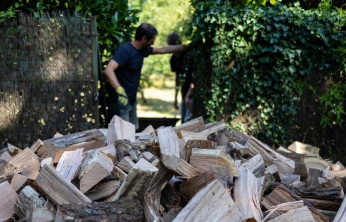 in the Marais Poitevin, firewood to cut at a lower cost