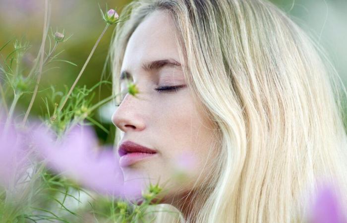 Health: The incredible power of smells