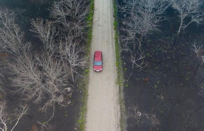 Nova Scotia’s wildfire season was the least active on record