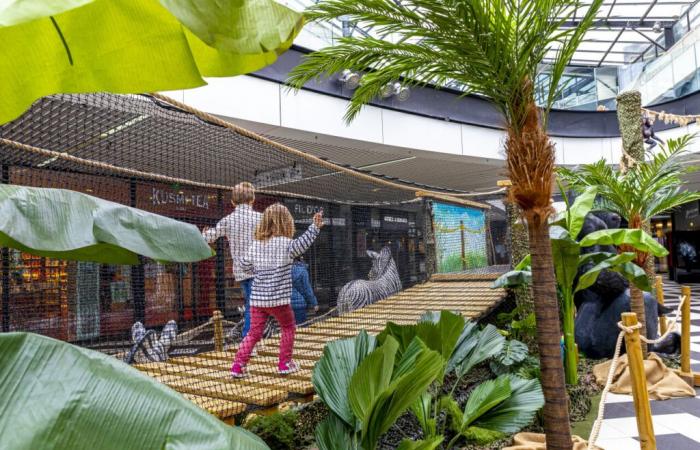 This shopping center in Yvelines transforms into a safari for the holidays