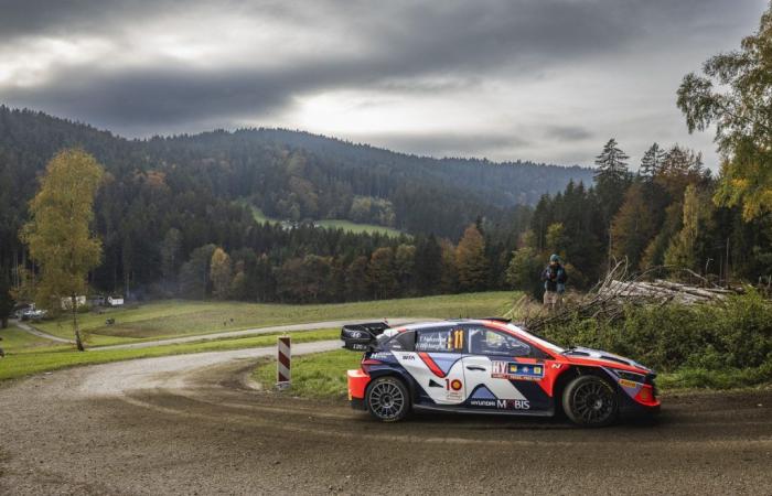 Central European Rally: Can Thierry Neuville still be champion?