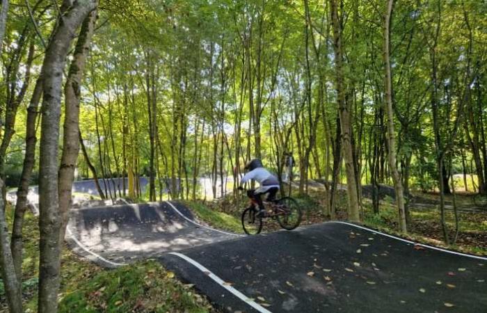 Seine-et-Marne: Bike park, basketball court and city stadium… In Bailly-Romainvilliers, the rehabilitation of public facilities was celebrated!