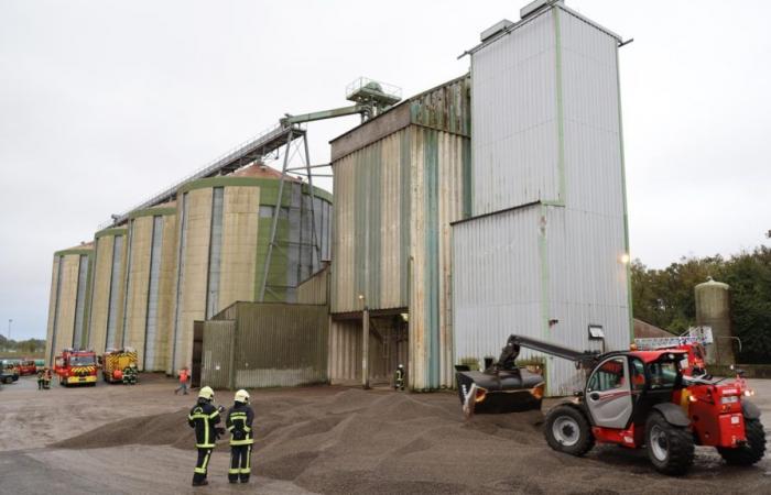 Heating of sunflowers in the Roches-Prémarie-Andillé silo: 23 firefighters involved