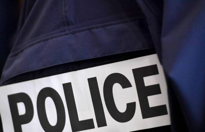 A 17-year-old girl killed by several stab wounds in Rouen, the suspect arrested in Paris