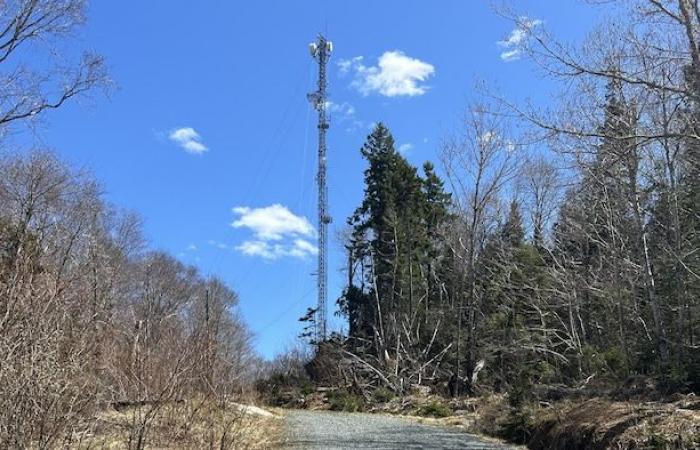 Nova Scotia’s wildfire season was the least active on record