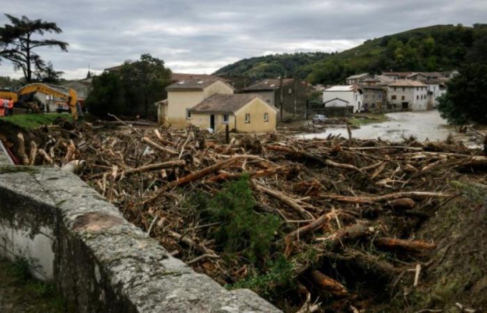 Natural disasters: France Assureurs protests against the lack of increase in the Barnier fund: News