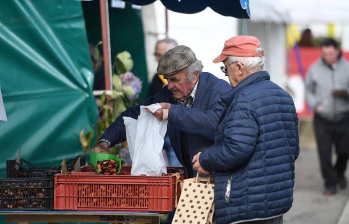 The Cantal chestnut industry wants to structure itself to grow better