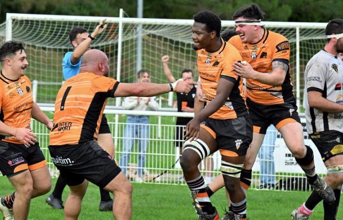 Amateur rugby – Federal 3: Pont-du-Casse wins an old-fashioned derby against Nérac and becomes leader