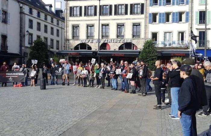 In Quimper, 90 people demand the release of the founder of the NGO Sea Shepherd, Paul Watson