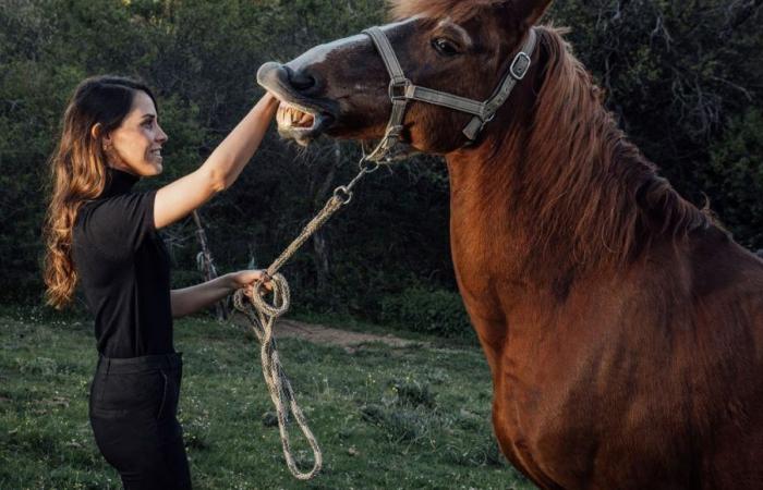 Live a unique horseback riding experience in Haute-Savoie with Sophie and her horse Jackson