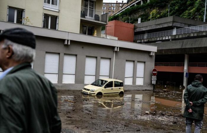 a woman kills herself by falling into a hole formed by floods in Ardèche