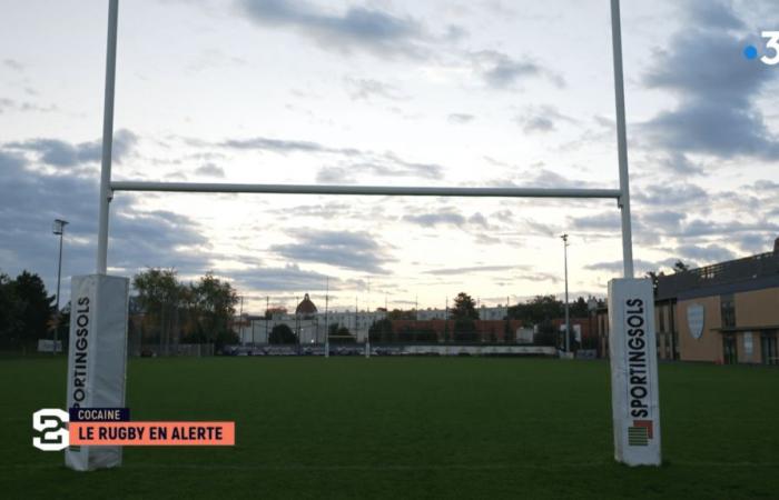 VIDEO. Faced with the scourge of cocaine, rugby on alert