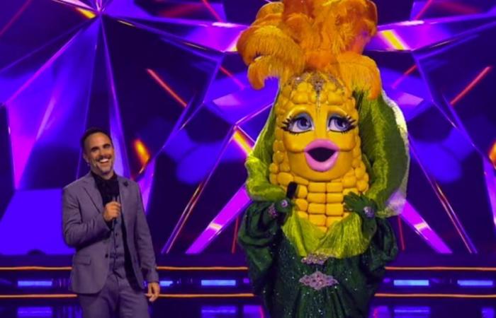 Masked Singers fans think there was a mistake following Miss Corn’s performance