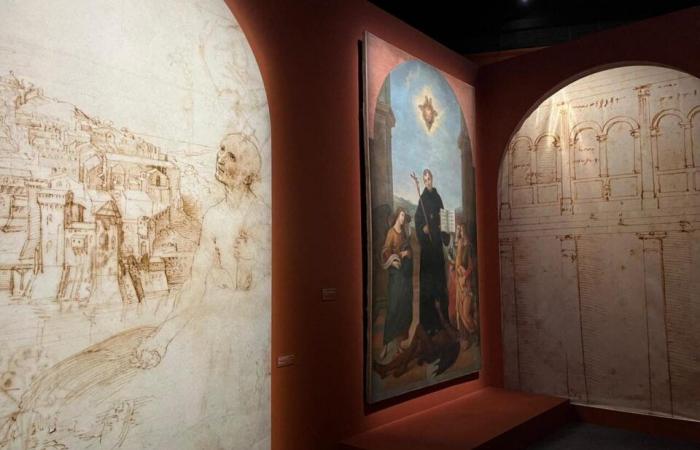 In Lille, creative secrets of the painter Raphaël revealed in an immersive exhibition